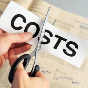 Flexibility and Cost-Effectiveness