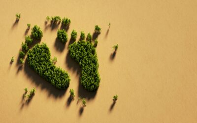 Eco-Friendly Copiers in California: Reduce Your Carbon Footprint